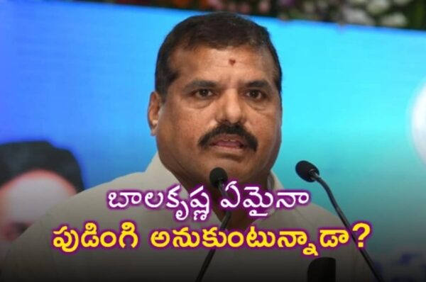 బాలకృష్ణ ఏమైనా పుడింగి అనుకుంటున్నాడా?… బొత్స తీవ్ర ఆగ్రహం